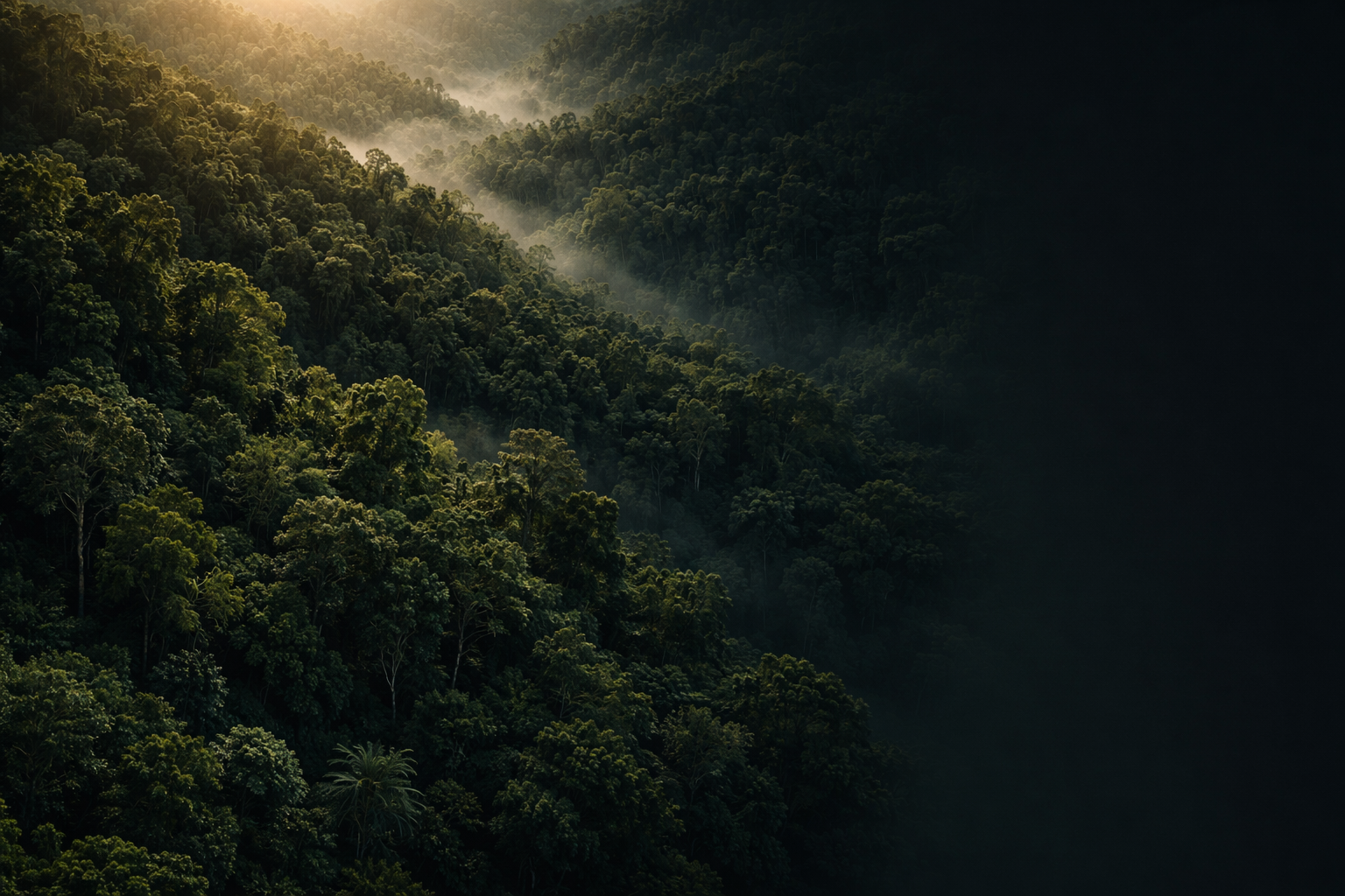 Digital supply chain visualization over forest landscape